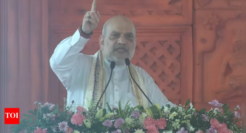 ‘Aadarsh beti, maa, raajmata .. ‘: Amit Shah invokes ‘Maa Sita’ in poll bound Bihar; attacks ‘Lalu & company’ for ‘opposing’ Operation Sindoor | India News