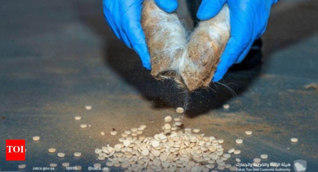 What is Captagon? Saudi customs seize over 400,000 pills hidden in sheep wool at Haditha border | World News