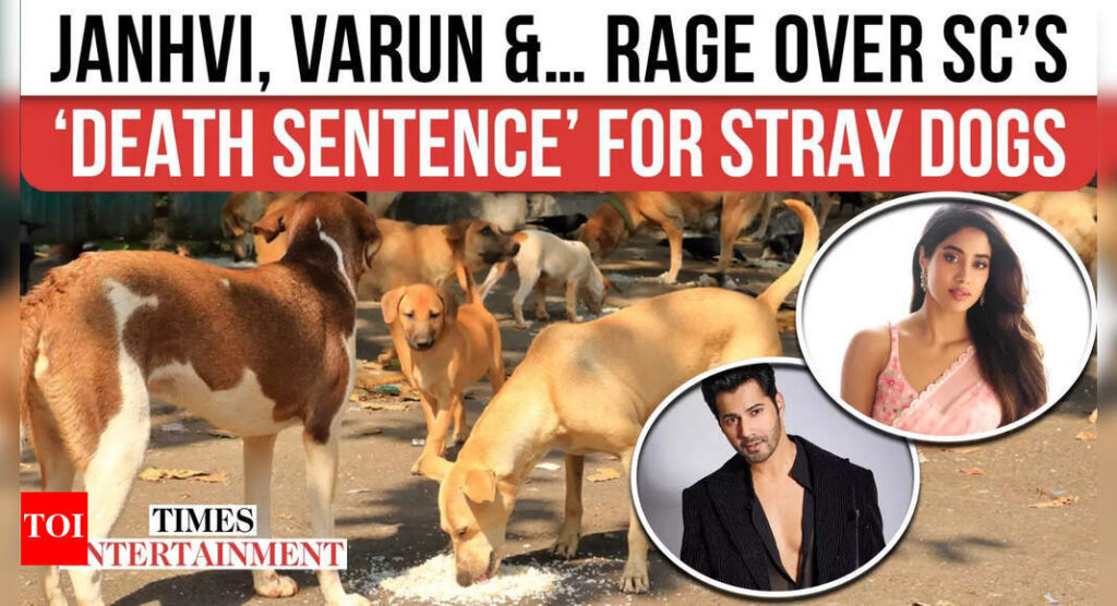 Shriya Pilgaonkar and Mohit Chauhan react to Supreme Court’s verdict on stray dogs |