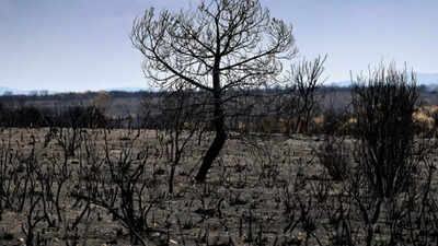 United Nations: UN says workers’ health ‘severely impacted’ by rising heat