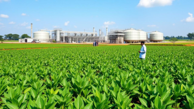 Fertiliser tech breakthrough: India develops first water-soluble process; aims to cut Chinese import dependence