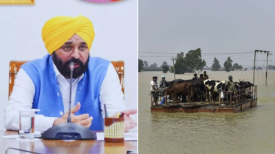 Punjab floods: CM Mann urges PM Modi to release Rs 60,000 crore state funds; schools to remain shut till Sept 3 | India News