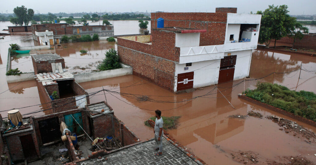 Punjab Floods Devastate Pakistan’s Breadbasket