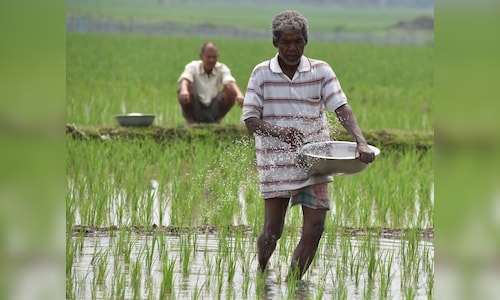 Declare wet drought in Maharashtra, provide aid to farmers: Congress writes to CM Fadnavis