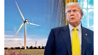 Elon Musk, Tim Cook, Lip-Bu Tan and 3 more CEOs that Trump has publicly criticised