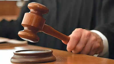 Allahabad HC quashes 79% reservation in UP govt medical colleges, directs fresh admissions