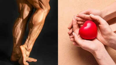 Calf muscles are your body’s ‘second heart’: Check simple exercises to improve circulation, strength, and stamina |