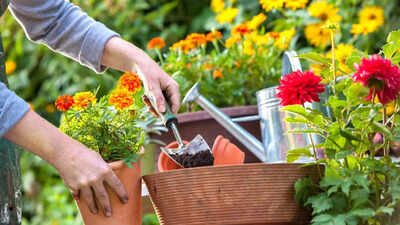 Healing, Uplifting Soul Gardening Busts Stress