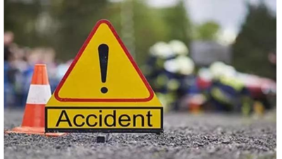 Indian man jailed in Singapore: 28-year-old Natarajan Mohanraj rams lorry into car killing NUS professor |