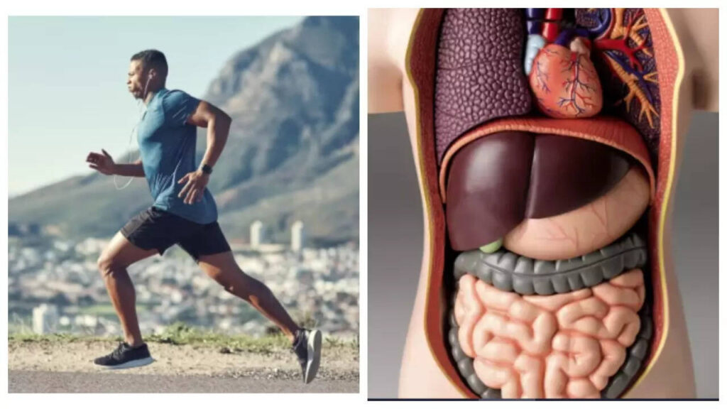 From walking to meditation, the best exercises for THESE 8 organs of the body