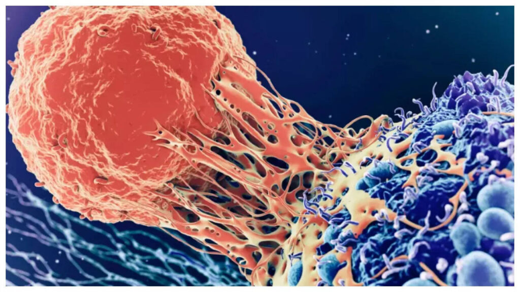 5 vegetables that are believed to starve cancer cells