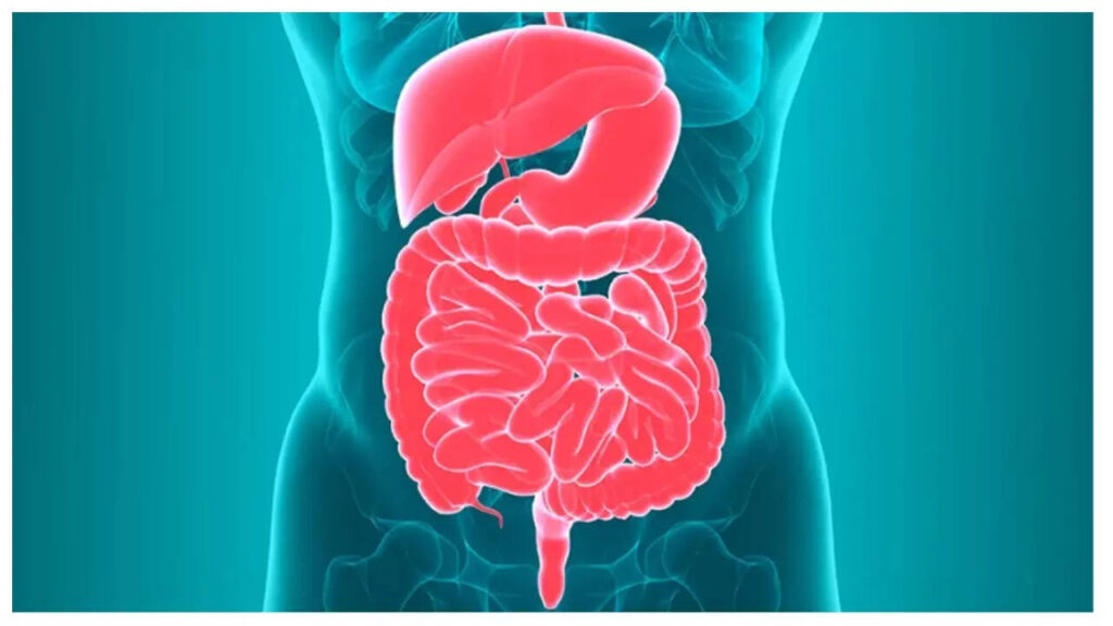 10 best breakfast combos by Harvard gut specialist