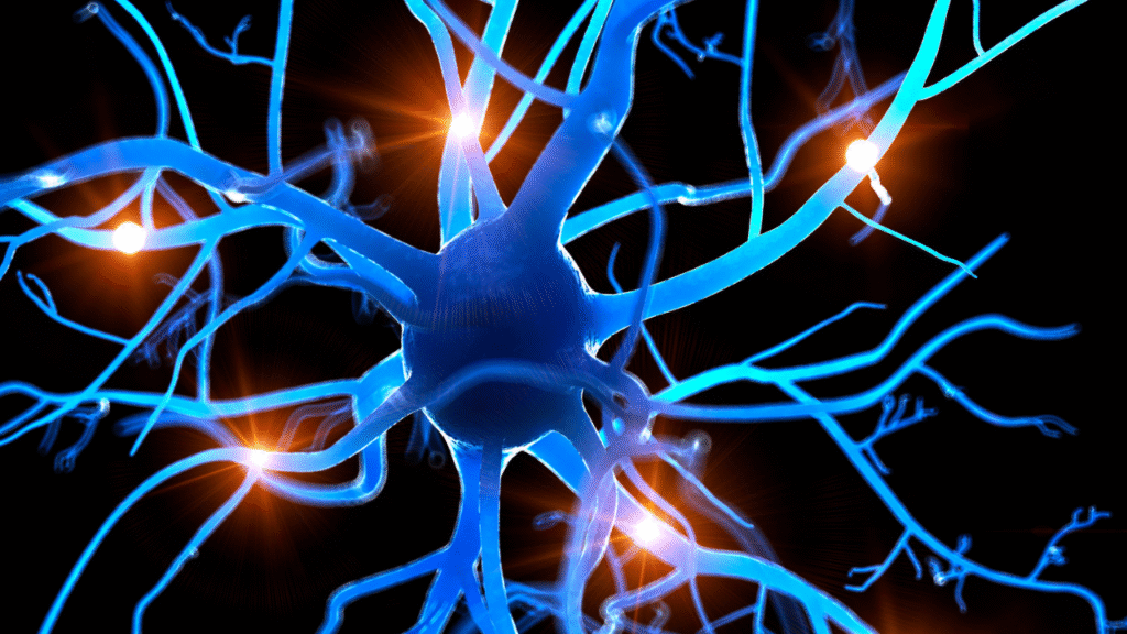 ​5 Ayurvedic habits to regulate the nervous system​