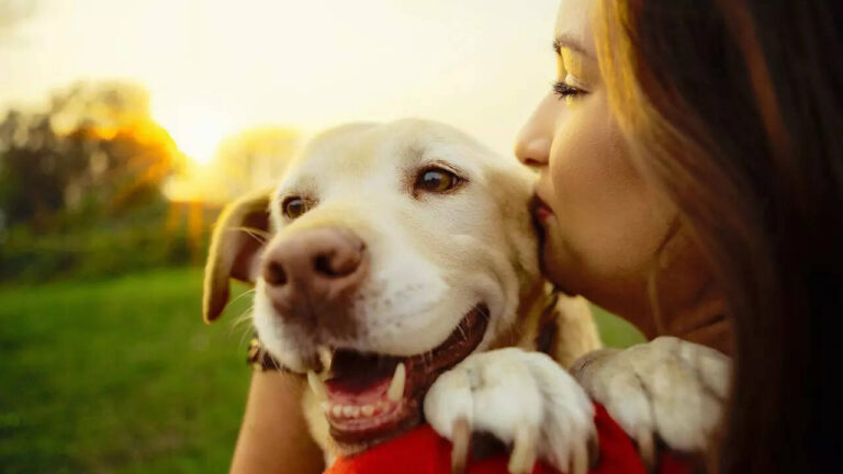 10 dog breeds that are most suitable for hot and humid Indian climate