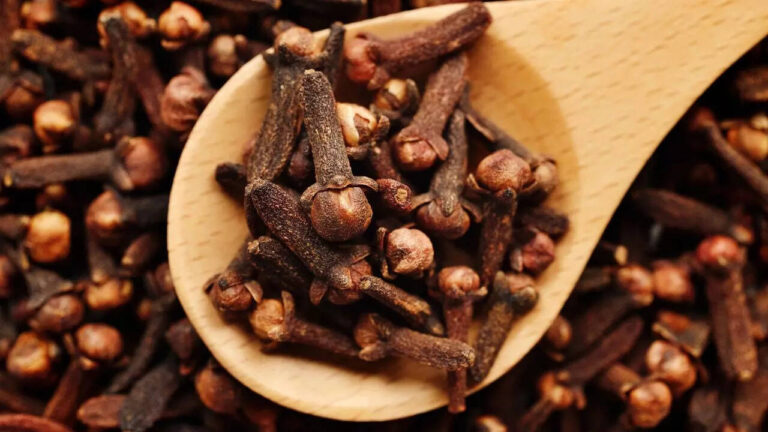 5 ways in which clove (oil) is used for different pet animals