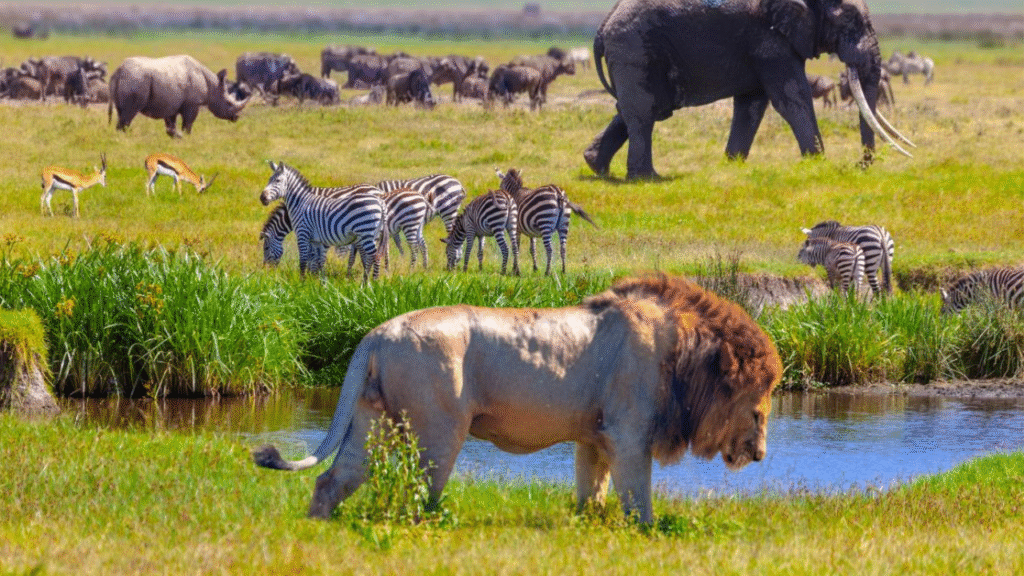 The 7 legends of the national park world