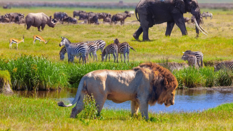 The 7 legends of the national park world
