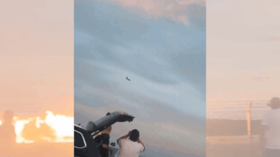 F-16 crash in Poland: Pilot killed during airshow rehearsal; ‘great loss for armed forces’, says govt