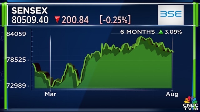 ‘Please moderate your expectation from the stock market’