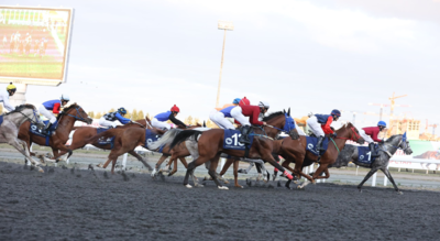 Sixteen horses to compete for 0,000 prize in Russia’s Kazan at tenth round of UAE President’s Cup | World News