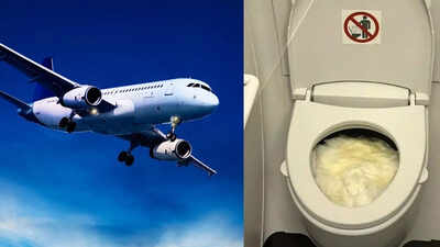Toilet crisis at 30,000 feet: Passengers forced to use bottles on a Virgin Australia flight after lavatory failure | World News
