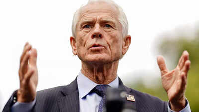 Peter Navarro net worth: How rich is the counsellor to the President of the USA? |