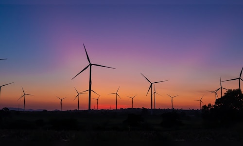 India to double wind energy to 107 GW by 2030, create over 1 lakh jobs: GWEC report