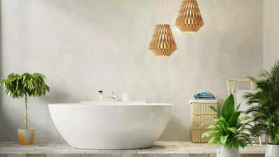 10 low-maintenance plants perfect for humid bathroom environments |