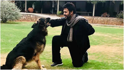Venkatesh Daggubati mourns demise of pet dog Google, pens a heartfelt message: ‘I’ll miss you forever’ | Telugu Movie News