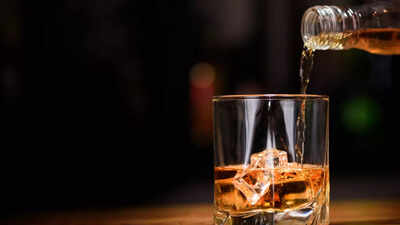 Why your brain craves alcohol: Scientists map the region responsible for compulsive drinking |