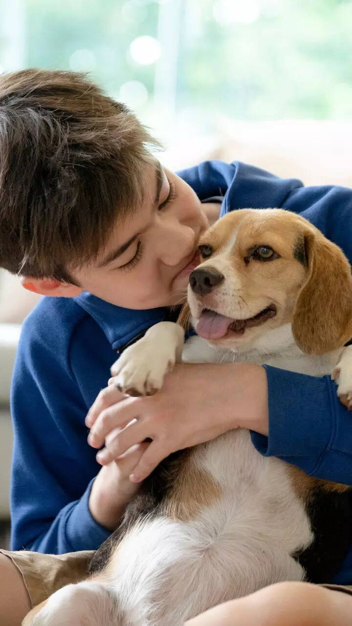 10 things to know before getting a pet dog home