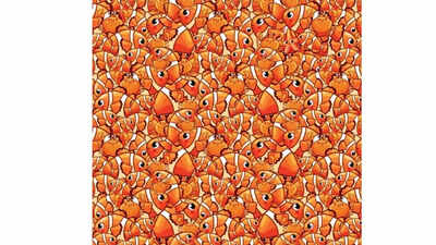 Optical Illusion: Can your eyes beat the clock? Find the hidden starfish in 7 seconds! |