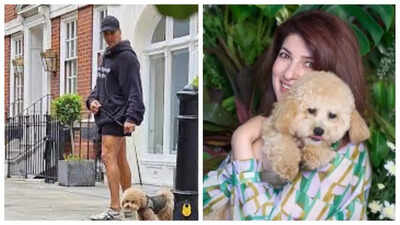 Akshay Kumar’s pet dog Jeeves moves from London to Mumbai, staff give him an adorable nickname; fans call it, ‘typical Marathi ghar thing’ |
