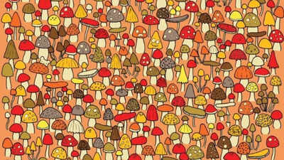 Optical Illusion: Can you spot the hidden mouse among the mushrooms?