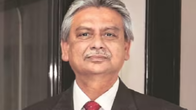 Growth sustained by domestic resources, says ex-RBI deputy governor Michael Patra