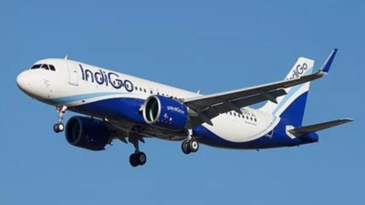 Mid-air scare: Suspected bird hit on IndiGo Nagpur-Kolkata flight; probe under way | India News