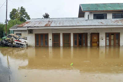 Rain fury: Heavy downpours batter north India; IMD sounds alerts, pilgrimage suspended | India News