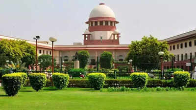 ‘You’ll clean it in 2 hours if a dignitary comes’: SC raps MCD on ‘Gumti of Shaikh Ali’; seeks report by Sept 18 | India News