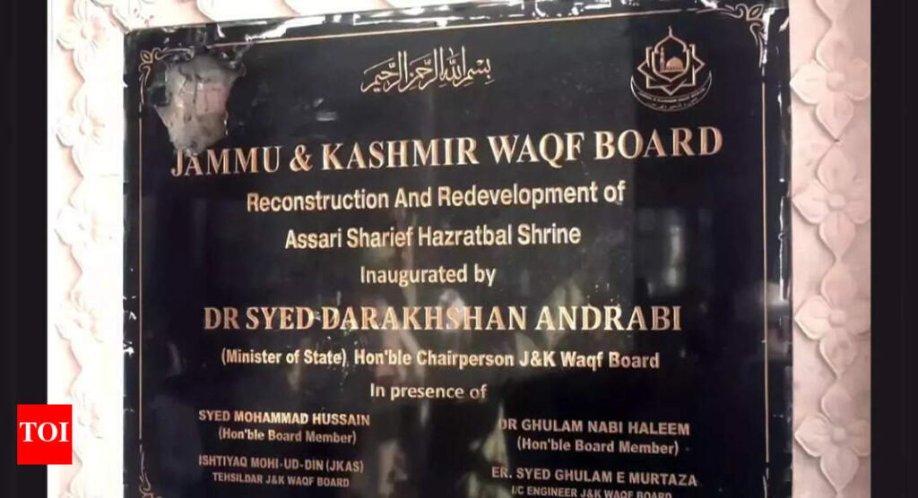 Hazratbal emblem row: BJP targets Rahul Gandhi after Congress MP’s ‘what’s done is done’ remark | India News