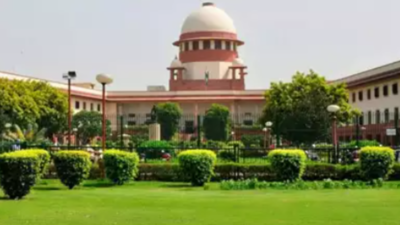 Review petition can’t be allowed as ‘appeal in disguise’, rules Supreme Court | India News