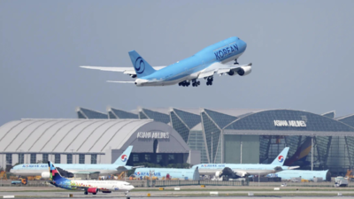 US immigration raid: Seoul dispatches plane; hundreds of Koreans to return