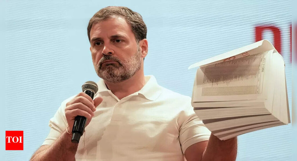 ‘Completely misconceived’: Madras HC dismisses plea on Rahul Gandhi’s ‘vote chori’ charge; imposes Rs 1 lakh fine on petitioner | India News
