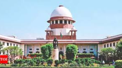 Only we decide on SIR, not even SC: Poll panel affidavit | India News
