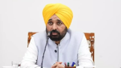 Cleanliness drive to begin in 2,300 flood-hit villages: Punjab CM Bhagwant Mann | India News