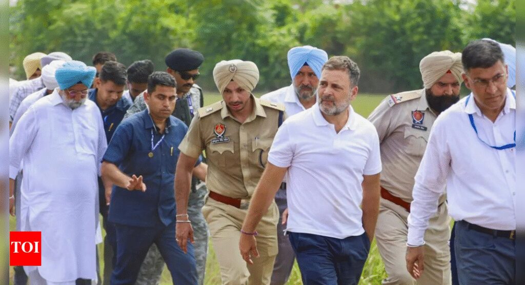 ‘Throwing tantrums’: BJP shares video of Rahul Gandhi’s spat with cop in flood-hit Punjab; calls it ‘drama’ | India News