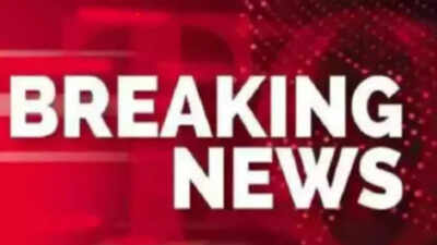 IOM says at least 50 dead after vessel with Sudanese refugees caught fire off Libya: Report | India News