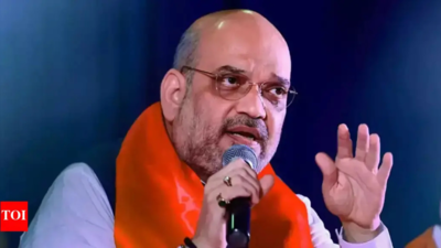 Intensify drive to achieve PM’s vision of drug-free India: Shah | India News