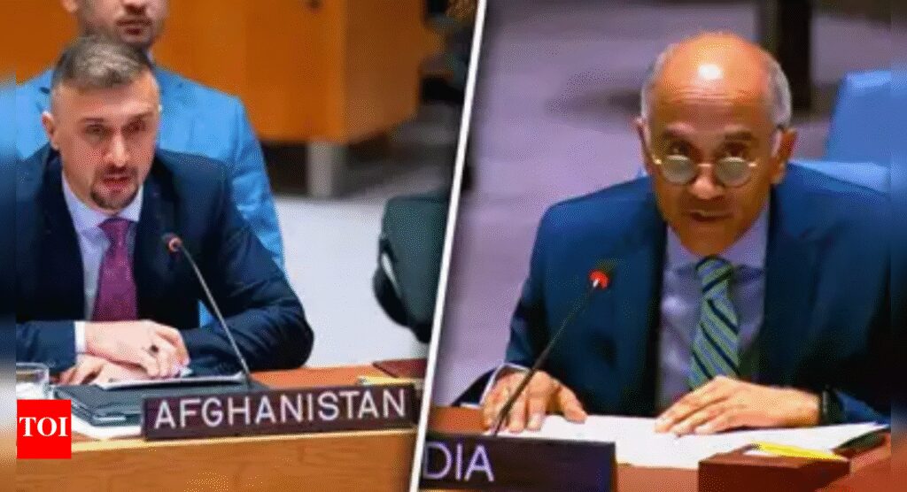 ‘Paramount interest’: India urges UN to stop terror Pakistan-based threats in Afghanistan; targets LeT, JeM | India News