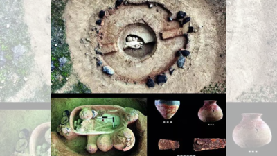 Sarcophagus redraws Harappan age south-north trade map | India News