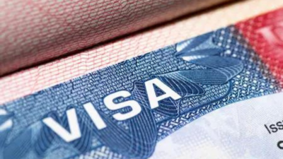 US visa curbs, weak demand lead to decline in IT stocks
